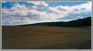 Crazy Woman Canyon Rd, WY Crazy Woman Canyon Rd, WY