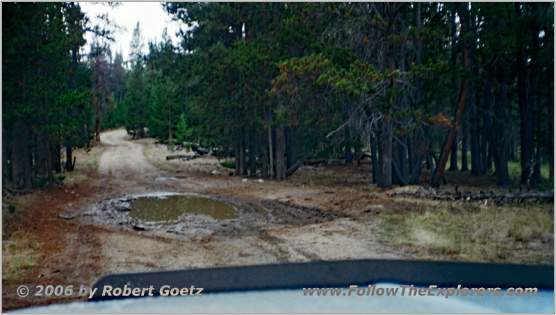 Upper Doyle Creek Rd/FR506, Wyoming