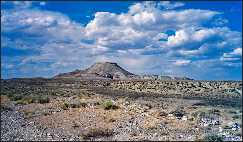 Burris-Lenore Rd, WY