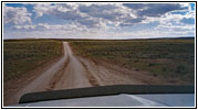 Gabelbock, BLM Rd 5201, Wyoming