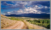 Union Pass Fire, Union Pass Rd, WY