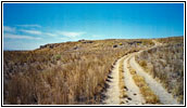 Backroad, Idaho