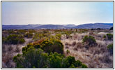 Bruneau Dunes State Park, ID