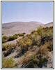 Bruneau Dunes State Park, Idaho