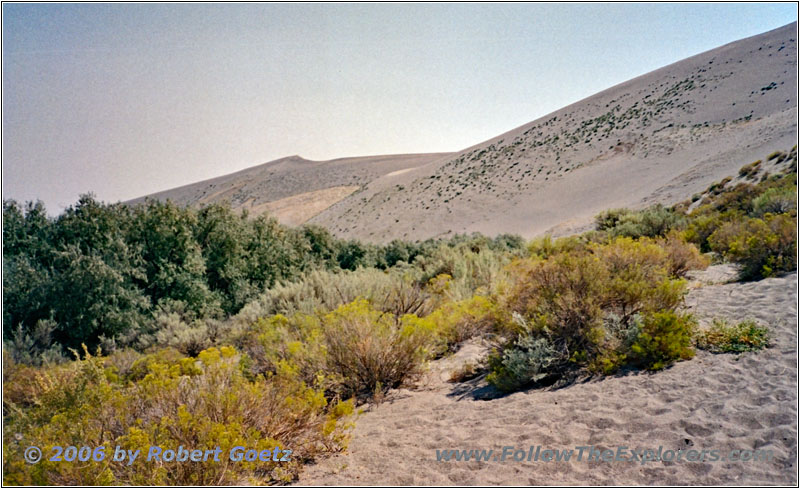 Bruneau Dunes State Park, ID