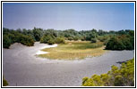 Bruneau Dunes State Park, ID