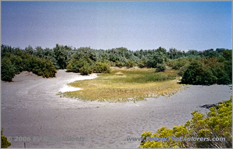 Bruneau Dunes State Park, ID