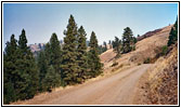 Jonathan Rd/NF-009/NF-024, Idaho