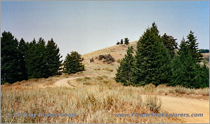 Jonathan Rd/NF-009/NF-024, Idaho