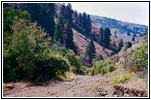 Jonathan Rd/NF-271, ID Jonathan Rd/NF-271, ID
