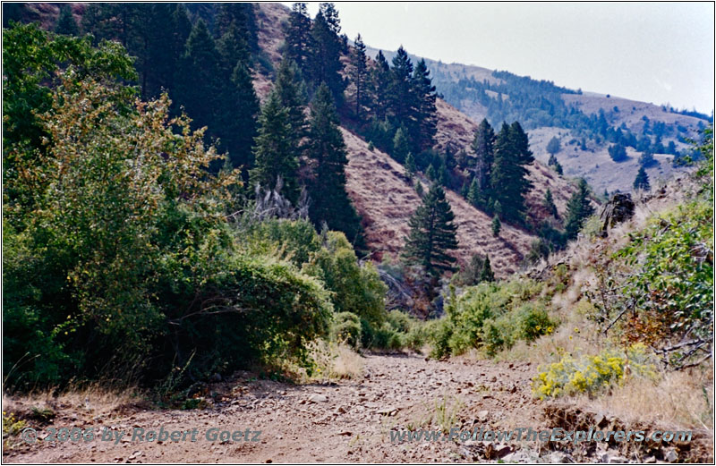 Jonathan Rd/NF-271, ID Jonathan Rd/NF-271, ID