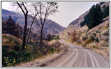 Jonathan Rd/NF-271, Idaho