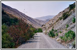 Jonathan Rd/NF-271, ID Jonathan Rd/NF-271, ID