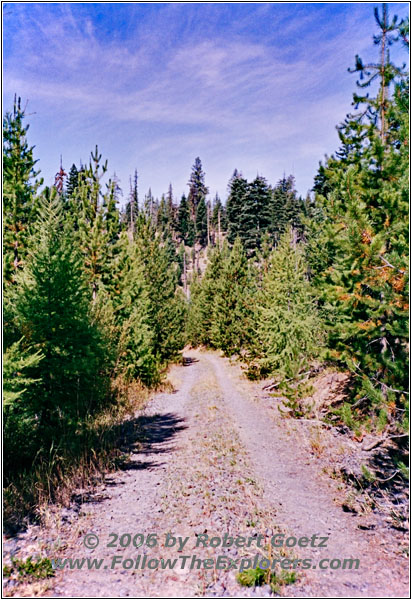 Backroad, OR Backroad, OR