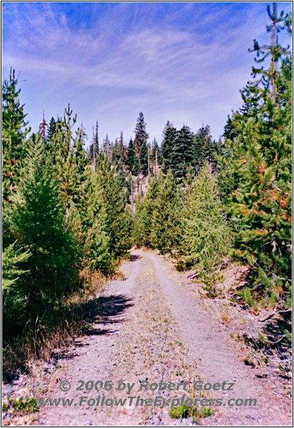 Backroad, Oregon