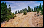 Backroad, Oregon