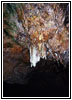 Jacob’s Cave, MO Jacob’s Cave, MO