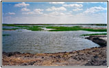 Cheyenne Bottoms Rd, KS