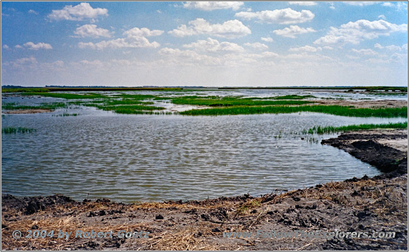 Cheyenne Bottoms Rd, KS