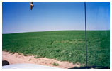 Backroad, Kansas