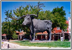 Downtown Dodge City, KS Downtown Dodge City, KS