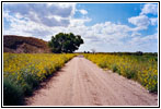 River Rd, Kansas