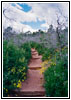 Spring Canyon Trail, Garden of The Gods, CO Spring Canyon Trail, Garden of The Gods, CO