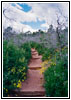 Spring Canyon Trail, Garden of The Gods, Colorado