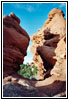 Siamese Twins Trail, Garden of The Gods, CO Siamese Twins Trail, Garden of The Gods, CO