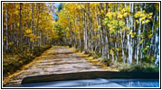 Rd 100, CO Rd 100, CO