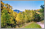 FR235, CO FR235, CO