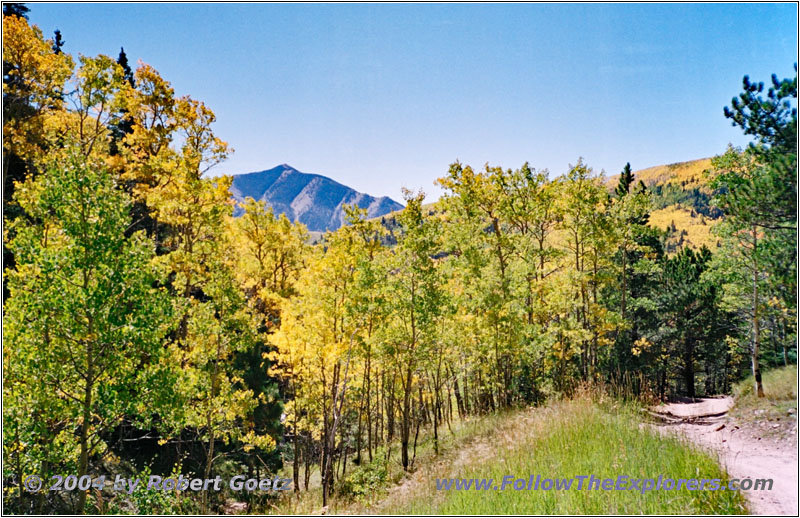 FR235, CO FR235, CO