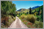 FR235, CO FR235, CO