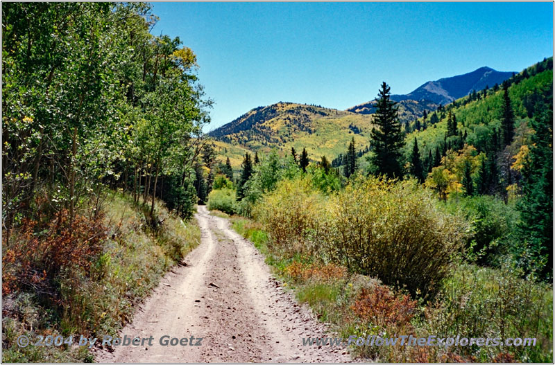 FR235, CO FR235, CO