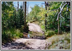 FR235, Medano Creek, CO