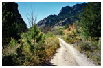 FR235, CO FR235, CO
