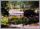 FR235, Medano Creek, CO FR235, Medano Creek, CO