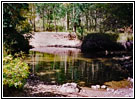 FR235, Medano Creek, Colorado