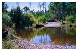 FR235, Medano Creek, CO