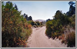 FR235, Great Sand Dunes NM, CO FR235, Great Sand Dunes NM, CO
