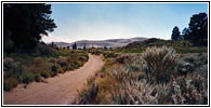 FR235, Great Sand Dunes NM, Colorado