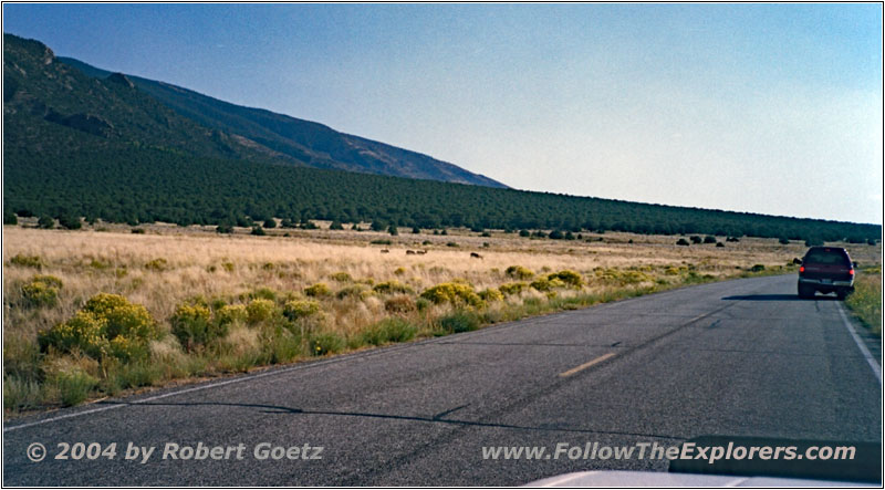 Deer, Highway 150, CO Deer, Highway 150, CO
