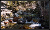 Zapata Creek, CO