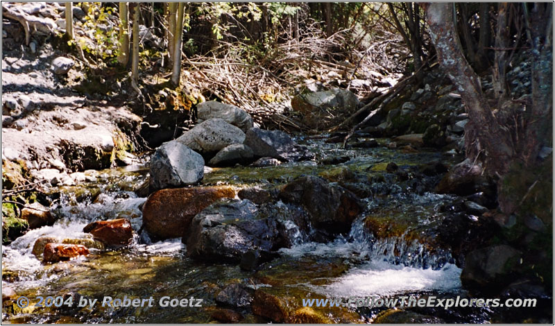 Zapata Creek, CO