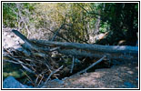 Zapata Falls Trail über Bach, Colorado