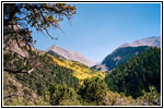 Zapata Falls Trail, Colorado