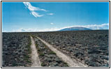 Backroad, New Mexico