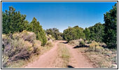 Backroad, NM Backroad, NM