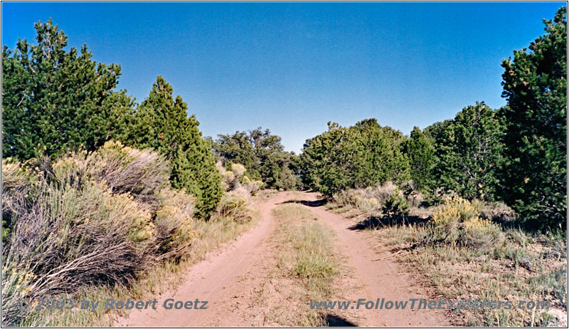 Backroad, New Mexico