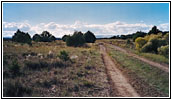 Backroad, NM